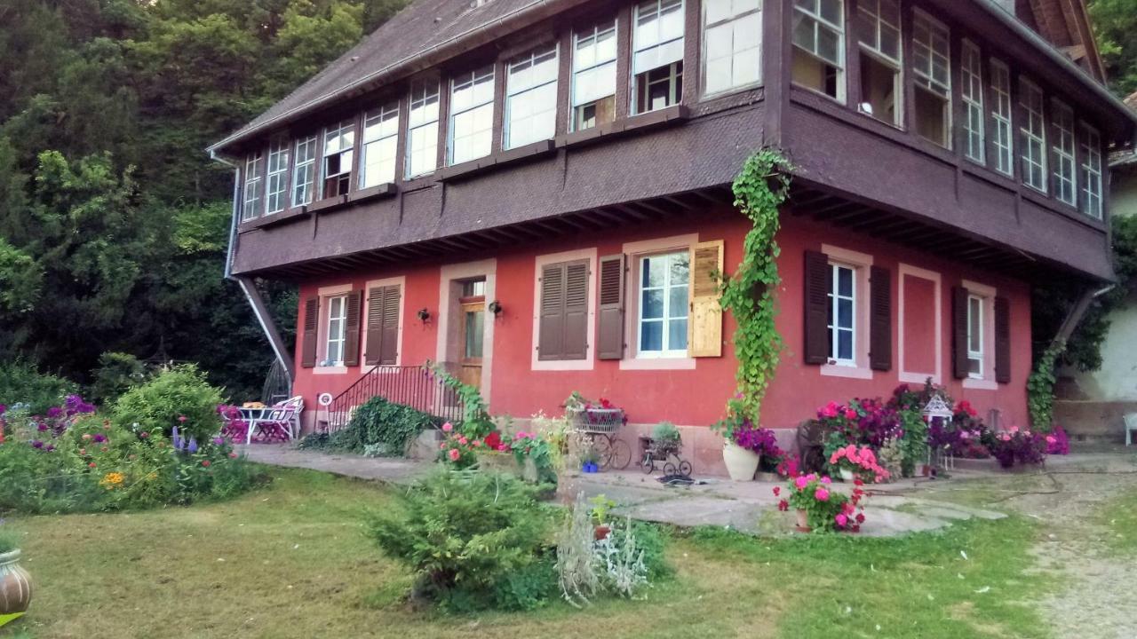 Gite "Cadichon" Munster  Bagian luar foto